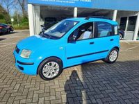 tweedehands Fiat Panda 1.2 Dynamic