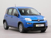 Occasion Fiat Panda Urban 69 PK (50 kW) 2024 Blauw Hatchback