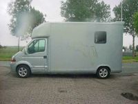 tweedehands Renault Master 2.5D 2-Paards Paardenauto Roelofsen Parados Sport