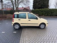 Occasion Fiat Panda 59 PK (43 kW) 2007 Hatchback