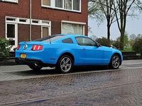 Afbeelding 2