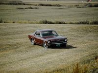 Occasion Ford Mustang 200 PK (147 kW) 1966 Bruin Coupé