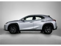 Occasion Lexus UX 184 PK (135 kW) 2024 Grijs SUV