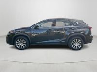 tweedehands Lexus NX300h AWD Business Line | Trekhaak | Lederen bekleding | LED | Stoelverwarming | Camera