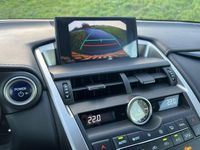 tweedehands Lexus NX300h Business Line GARANTIE