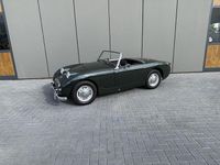 Occasion Austin Healey Sprite 1960 Groen