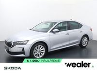 Nieuw Skoda Octavia Business Line 116 PK (85 kW) 2025 Grijs Hatchback