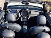 Occasion Mini Cooper Cabriolet 136 PK (100 kW) 2023 Cabriolet