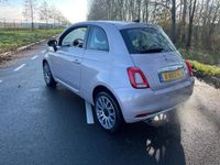 tweedehands Fiat 500 1.0 Hybrid Launch Edition / LEER / PANO / SP VLG /