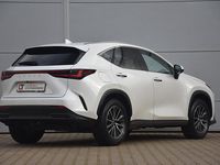 Occasion Lexus NX450h+ Luxury Line 309 PK (227 kW) 2025 Wit (metallic) SUV