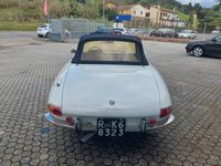 Occasion Alfa Romeo Spider Veloce 118 PK (86 kW) 1968 Wit Cabriolet