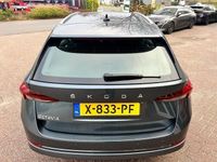 Occasion Skoda Octavia 150 PK (110 kW) 2021 Stationwagen