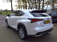 Occasion Lexus NX300h Luxury Line 155 PK (114 kW) 2018 Wit SUV