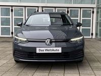 tweedehands VW Golf VIII Variant 1.5 eTSI Life / Automaat / 16'' LMV