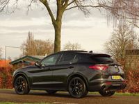 tweedehands Alfa Romeo Stelvio 2.0 T AWD 280pk | Schuifdak | H+K | Trekhk.afn. |