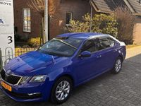 tweedehands Skoda Octavia Combi 1.0 TSI Greentech Ambition Business