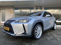 Occasion Lexus UX 250h Business Edition 109 PK (80 kW) 2019 Grijs SUV