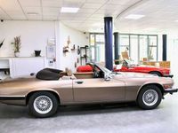 Occasion Jaguar XJS 256 PK (188 kW) 1990 Brons Cabriolet