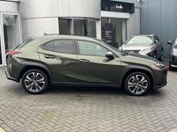 Occasion Lexus UX Business Edition 184 PK (135 kW) 2023 Groen SUV
