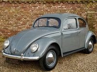 Occasion VW Beetle 1955 Grijs