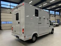 tweedehands Opel Movano 2.2 Paardenwagen Hengsten Uitvoering Airco Cruisecontrol NIEUW