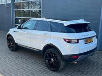 Occasion Land Rover Range Rover evoque Pure 150 PK (110 kW) 2017 Wit SUV