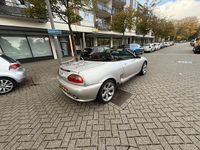 Afbeelding 3