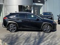 Occasion Lexus UX 184 PK (135 kW) 2021 Zwart SUV