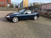 Afbeelding 3