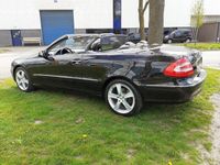 tweedehands Mercedes 320 CLK-KLASSE CabrioletElegance *youngtimer*nieuwe versnellingsbak*nieuw dak*