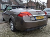 tweedehands Ford Focus Cabriolet 1.6 Trend