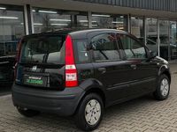 Occasion Fiat Panda 54 PK (39 kW) 2007 Zwart Hatchback