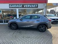 tweedehands Lexus UX 250h Business Line