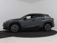 tweedehands Lexus UX 250h Business Line | Cloud-Based Navigatie | Apple Carp