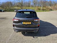 tweedehands Ford Kuga 1.5 EcoB. ST-Line