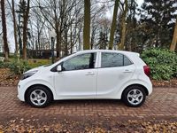 Occasion Kia Picanto Comfort 67 PK (49 kW) 2020 Wit Hatchback