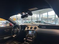 tweedehands Ford Mustang Fastback 2.3 EcoBoost Shaker audio | Stoelverwarmi