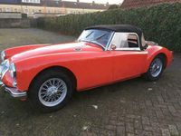 Afbeelding 2