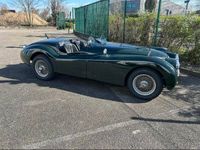 Occasion Jaguar XK SE 182 PK (133 kW) 1951 Groen Cabriolet