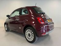 tweedehands Fiat 500 1.2 Lounge 2018 PANO/AIRCO/CRUISE