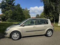Occasion Renault Scénic II Luxe 165 PK (121 kW) 2006 Beige (metallic) MPV