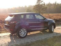 Occasion Land Rover Range Rover evoque 150 PK (110 kW) 2015 Zwart Stationwagen