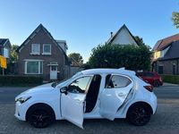 Afbeelding 3