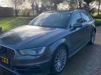 tweedehands Audi A3 e-tron Amb. PL+