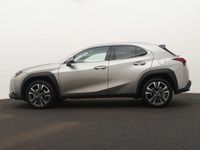 Occasion Lexus UX Business Edition 184 PK (135 kW) 2024 Grijs, metallic lak SUV