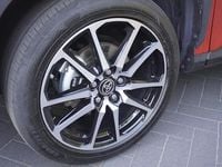 Afbeelding 3