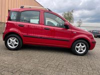 tweedehands Fiat Panda 1.2 Edizione Cool