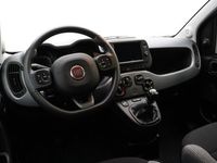 tweedehands Fiat Panda 1.0 Hybrid City Life | 5 Zitplaatsen | Navigatie v