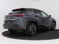 tweedehands Lexus UX 250h Business Line | Safety System | Apple Carplay & Android Auto | Parkeersensoren |