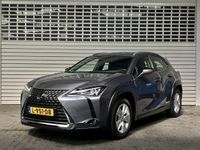 Occasion Lexus UX 250h 184 PK (135 kW) 2020 Grijs SUV